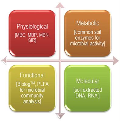 A review on effective soil health bio-indicators for <mark class="highlighted">ecosystem restoration</mark> and sustainability